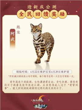 天龙八部私服盗梦